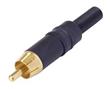 RCA GOLD REAN NEGRA NYS373