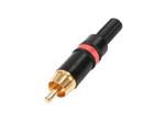 RCA GOLD REAN ROJA NYS373